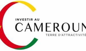 conference_investir_au_cameroun_full