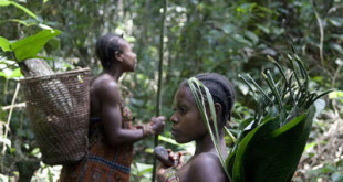 pygmees-Baka-Cameroun